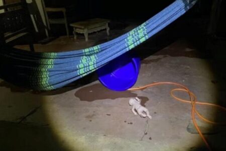 Bebê de seis meses morre afogado em bacia, em MT Mãe teria deixado criança sozinha por cerca de cinco minutos