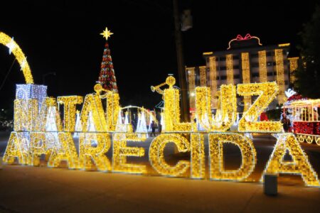 Iluminação de Natal em Aparecida de Goiânia (Foto: Divulgação)