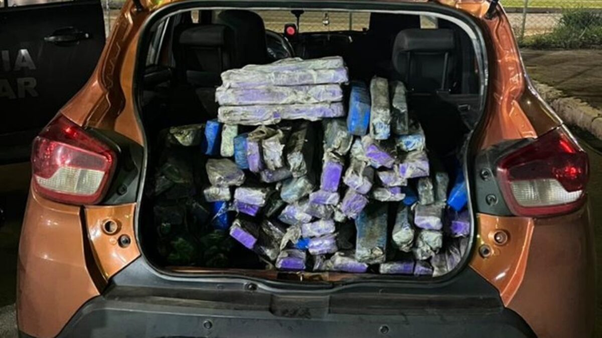 Polícia Civil do DF e PM de Goiás prendem suspeito de tráfico com 108 tabletes de maconha