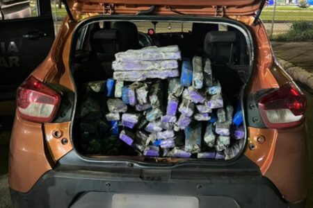 Polícia Civil do DF e PM de Goiás prendem suspeito de tráfico com 108 tabletes de maconha