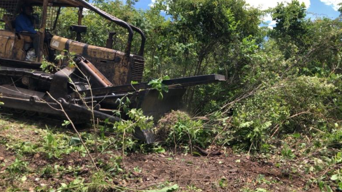 Flagrante de desmatamento feito por fiscais da Semad na cidade de Goiás (Foto: Divulgação)