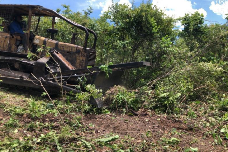 Flagrante de desmatamento feito por fiscais da Semad na cidade de Gois (Foto: Divulgao)