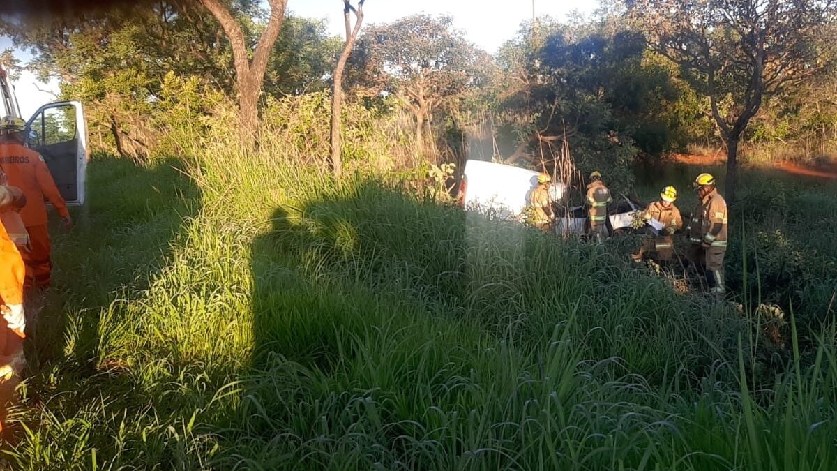 Motorista atinge capivara no DF, perde o controle do carro e morre após bater em árvore