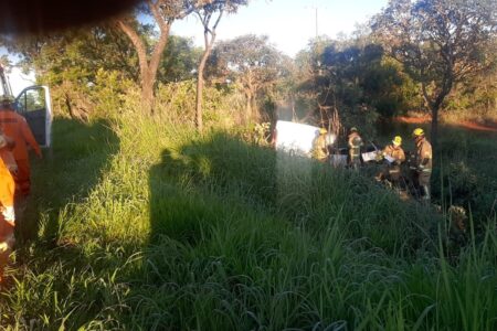 Motorista atinge capivara no DF, perde o controle do carro e morre após bater em árvore