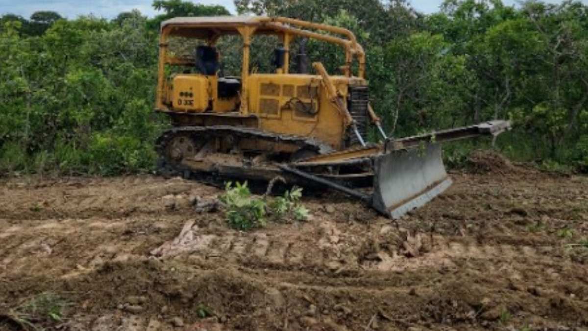 Desmatamento flagrado por fiscais da Semad em Niquelândia (Foto: Divulgação)