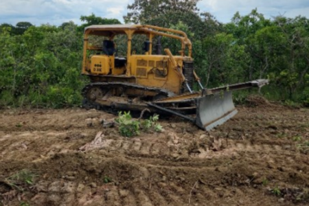 Desmatamento flagrado por fiscais da Semad em Niquelândia (Foto: Divulgação)