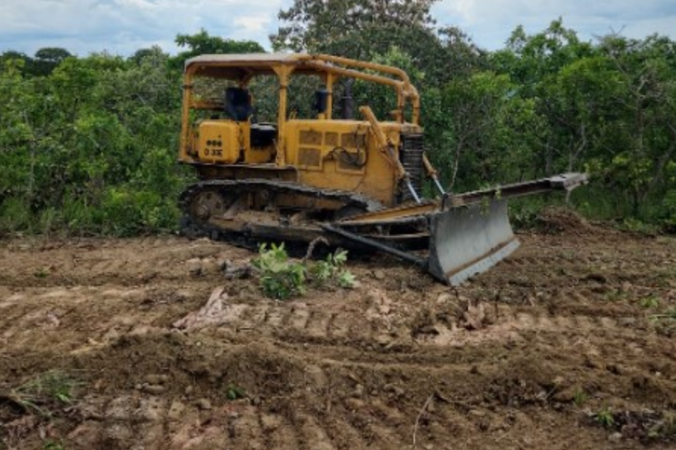 Desmatamento flagrado por fiscais da Semad em Niquelândia (Foto: Divulgação)