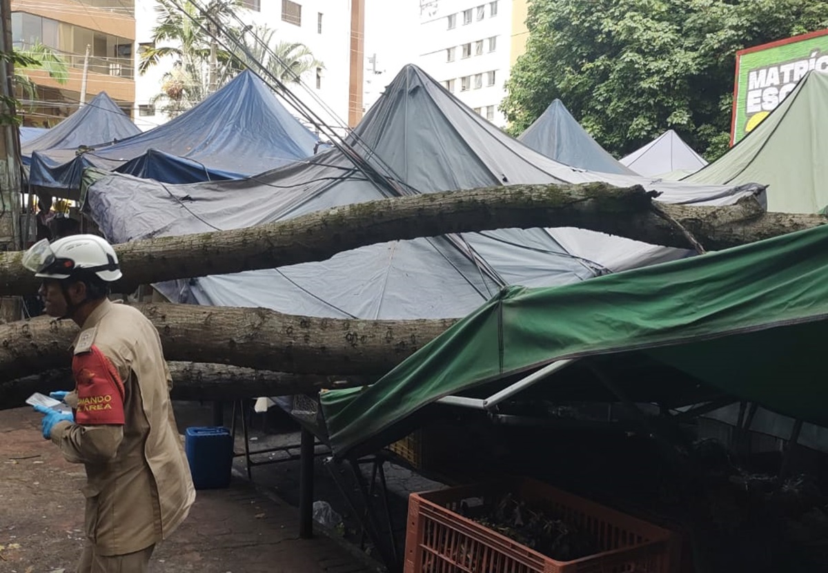 5 pessoas ficam feridas após queda de árvore sobre barracas de feira no Setor Oeste