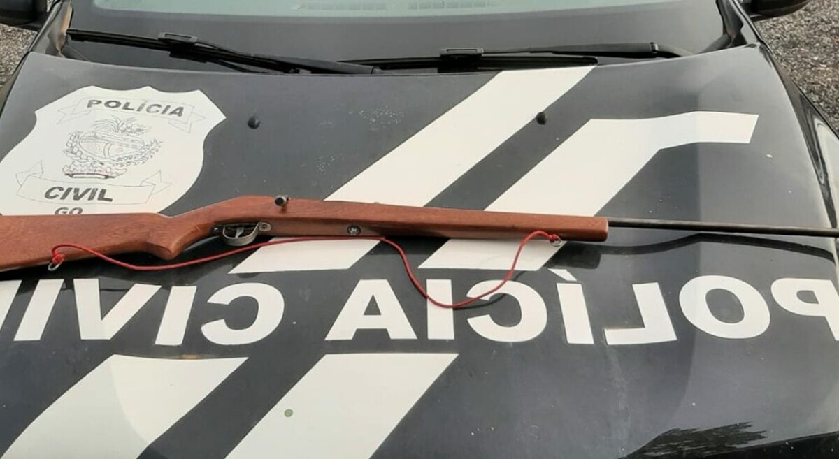 Arma de homem que atirou contra cachorro