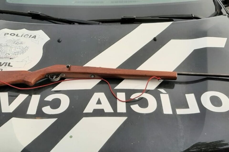 Arma de homem que atirou contra cachorro