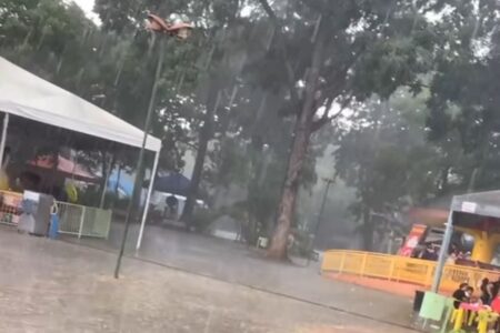 Goiânia: árvore cai sobre telhado do bate-bate do Parque Mutirama durante a chuva