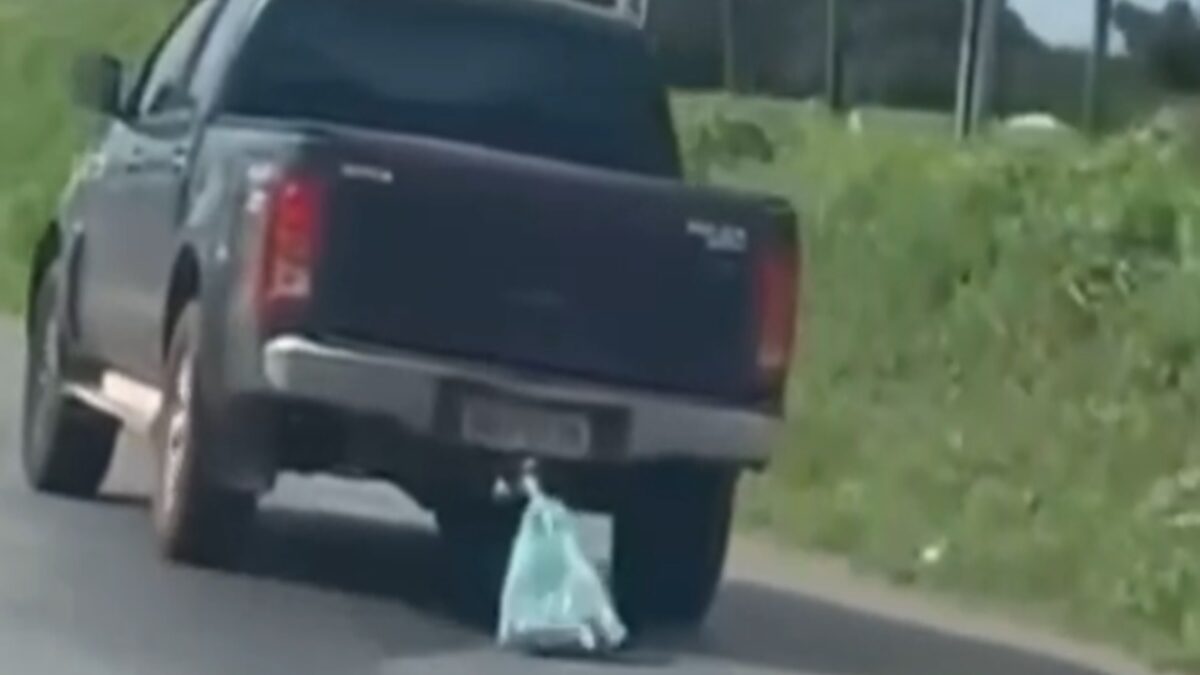 Imagem mostra o gato morto sendo arrastado pelo engate da caminhonete.