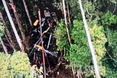 Corpos são achados durante buscas por helicóptero desaparecido em São Paulo Aeronave tinha quatro ocupantes