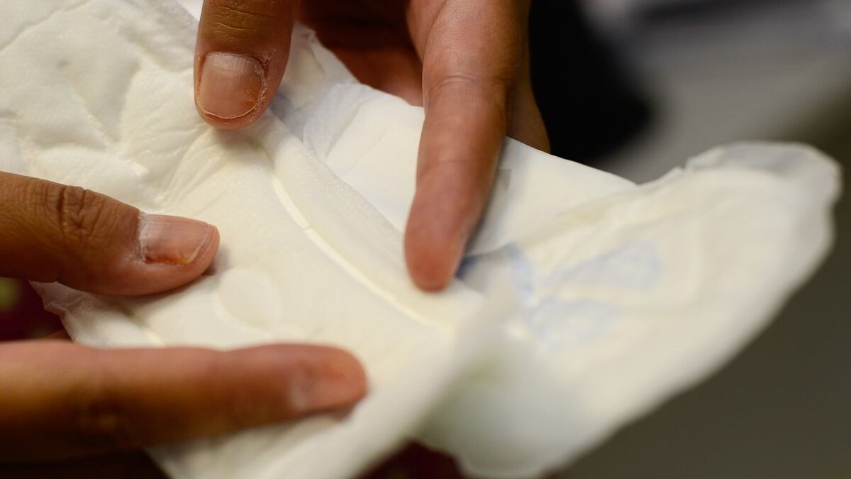 Câmara de Goiânia doa 3 mil absorventes para vítimas no Rio Grande do Sul