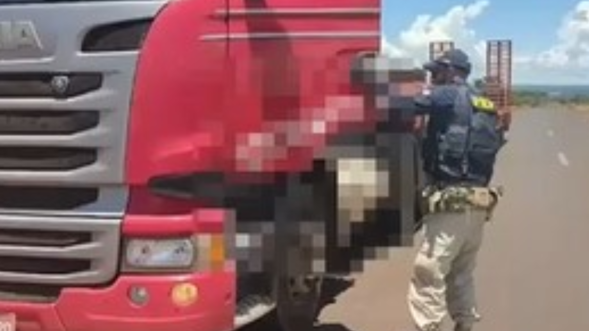 PRF encontra arma no interior de caminhão na BR-452, em Itumbiara (Foto: Reprodução)