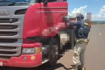PRF encontra arma no interior de caminhão na BR-452, em Itumbiara (Foto: Reprodução)