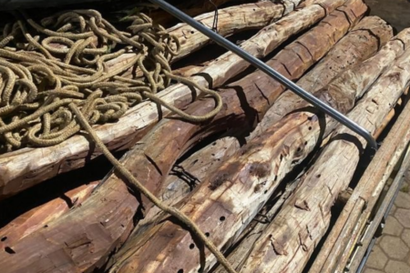 PRF apreende carga de madeira serrada de Angico, em Formosa (Foto: Divulgação/PRF)
