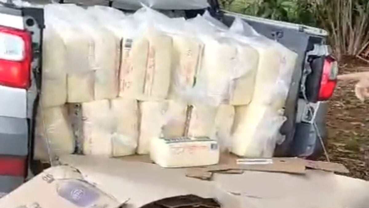 Imagem mostra carga de queijo irregular sendo transportada em carroceria de veículo em Jaraguá.
