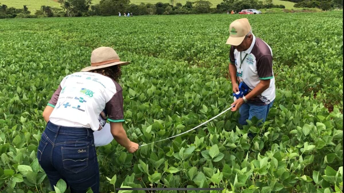 Integrantes de expedição da Faeg analisam plantio de soja em Goiás (Foto: divulgação/FAEG)