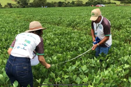 Integrantes de expedição da Faeg analisam plantio de soja em Goiás (Foto: divulgação/FAEG)