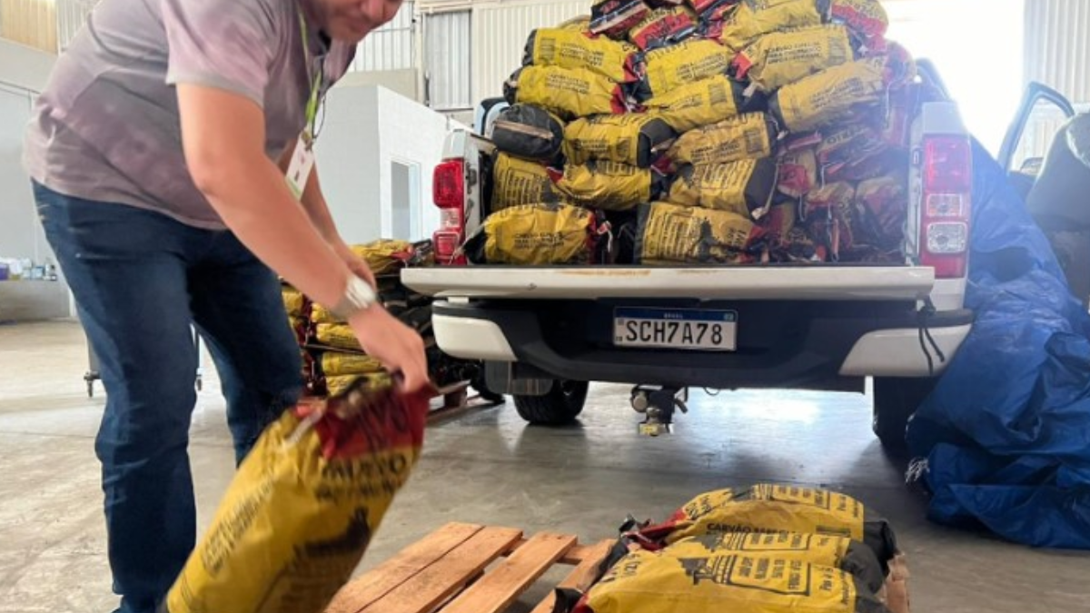 Carvão estocado de forma irregular e apreendido pela Semad (Foto: Divulgação)