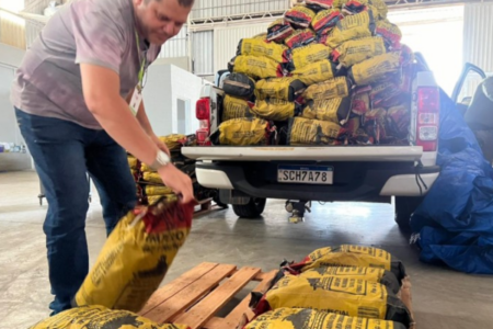 Carvão estocado de forma irregular e apreendido pela Semad (Foto: Divulgação)