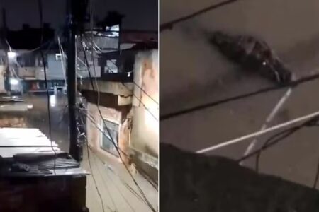 Jacarés são vistos em ruas do Rio de Janeiro após enchentes provocadas por temporal Vídeo mostra viaturas totalmente debaixo d´água
