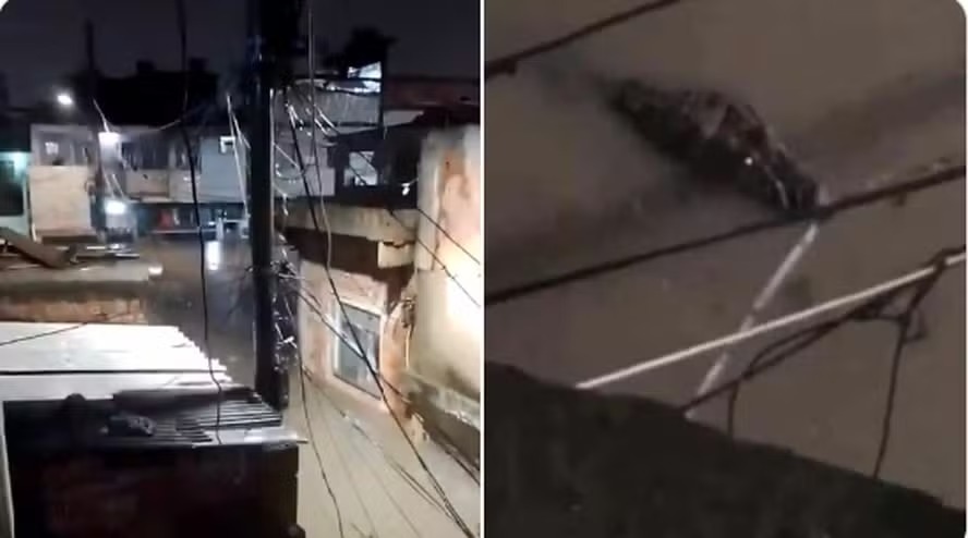 Jacarés são vistos em ruas do Rio de Janeiro após enchentes provocadas por temporal Vídeo mostra viaturas totalmente debaixo d´água