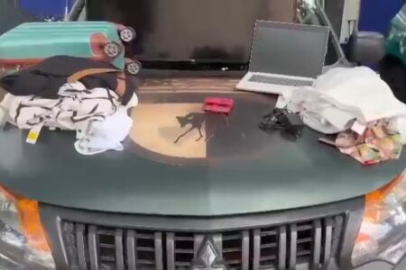 Mulher é presa suspeita de aplicar golpe do Pix em lojas de roupas em Goiânia Jornalista de 22 anos foi presa no setor Jardim América