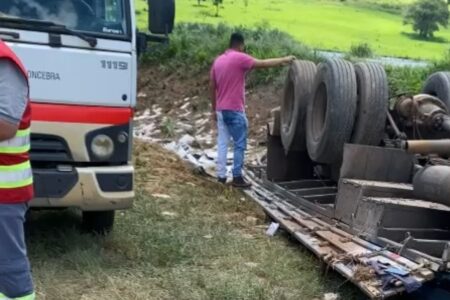 Caminhão tomba na BR-060, próximo a Goiânia, e os dois ocupantes morrem