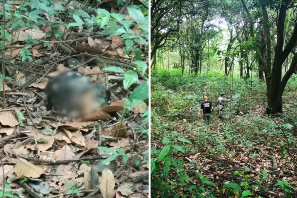 Ossada humana é encontrada em mata perto de universidade de Anápolis