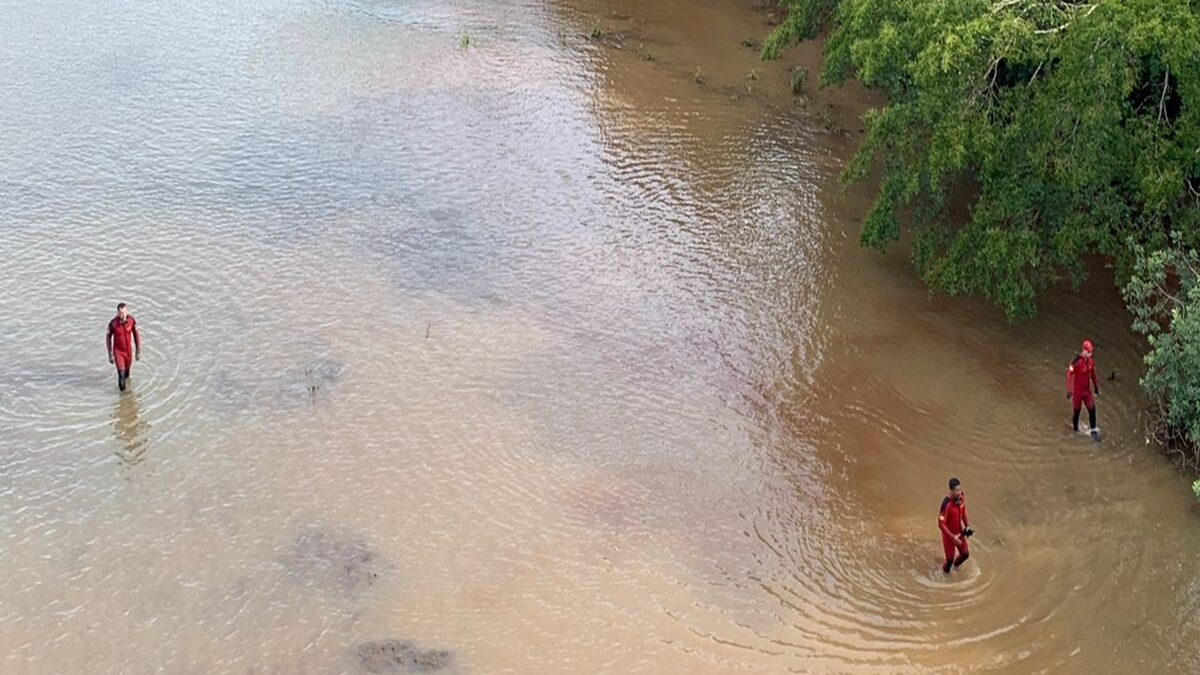 Imagem mostra bombeiros procurando menino de 1 ano e 6 meses que desapareceu no Rio Verdão, em Goiás.