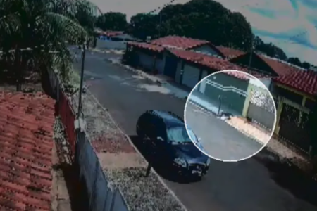 Pit bull ataca cachorro em rua de São Simão (Foto: Reprodução)