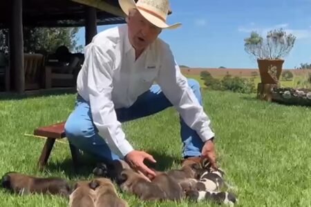 Caiado faz campanha para sortear filhotes de cachorro