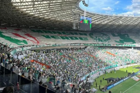 Torcida organizada Mancha Verde (Foto: redes sociais)