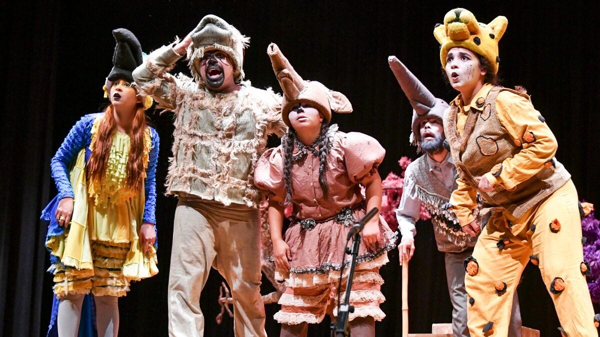 Espetáculo Mundo Cerrado oferece reflexão sobre meio ambiente (Foto: divulgação)