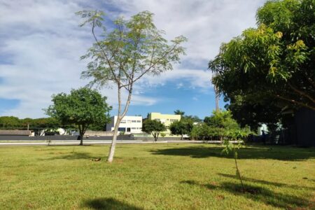 Goiás cria parque em homenagem às vítimas do atentado em Israel Localizado na sede da autarquia, em Goiânia, o espaço terá 1.200 árvores