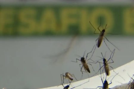 Anápolis confirma primeiro óbito por dengue (Foto: Agência Brasil)
