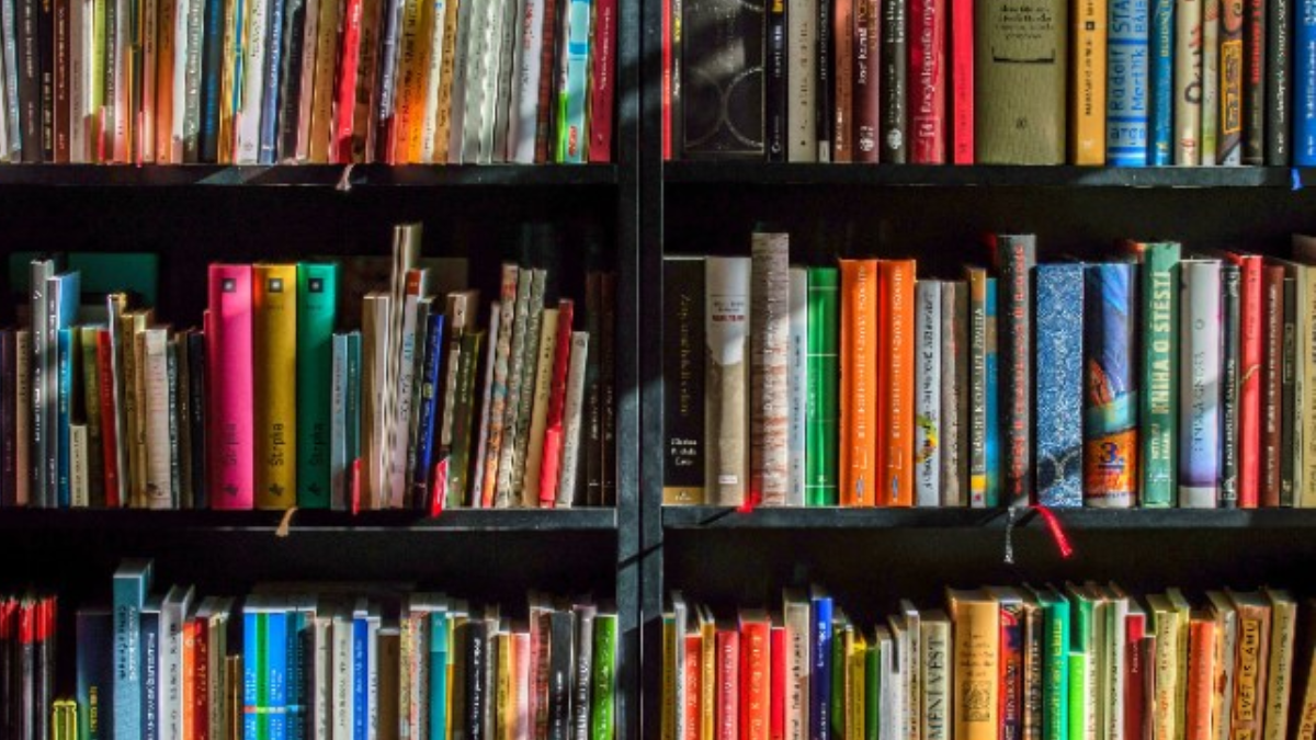 Livros na estante, tendência do Tik Tok (Foto: Pexels)