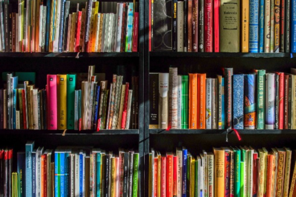 Livros na estante, tendência do Tik Tok (Foto: Pexels)
