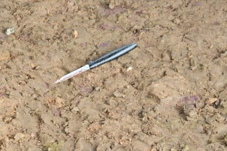 Homem de 23 anos é morto em briga doméstica; companheira suspeita é presa Caso aconteceu no distrito de Pires Belo, em Catalão