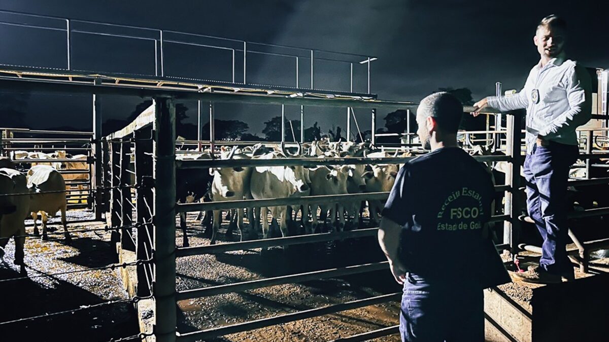 Operação Boi Gordo fiscaliza frigoríficos em todas as regiões de Goiás