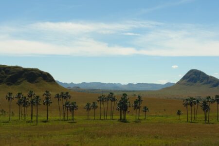 Área de Proteção Ambiental (APA) de Pouso Alto (Foto: Divulgação)