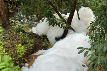 "Detergentes", diz superintendente da Semad sobre espuma em córrego de Aparecida