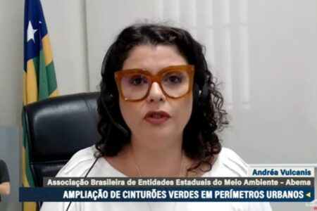 Secretária Andréa Vulcanis durante audiência no Senado (Foto: Reprodução)