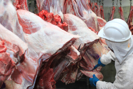 Foto de carne bovina em frigorífico - Agronegócio de Goiás inicia 2024 com alta nas exportações (Foto: Governo de Goiás)