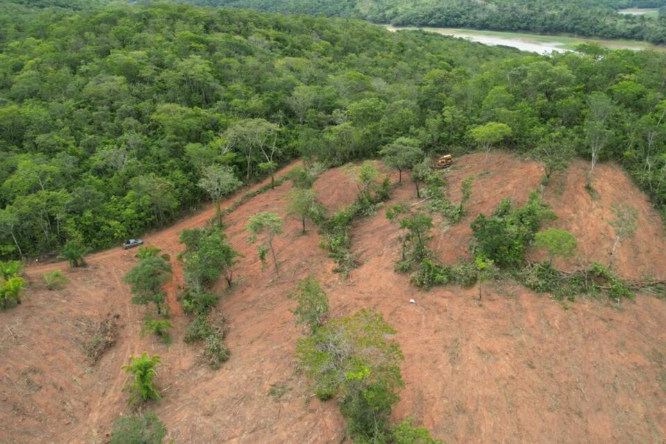 Goiás encontra mais 14 hectares desmatados em Ipameri e Caldas Novas