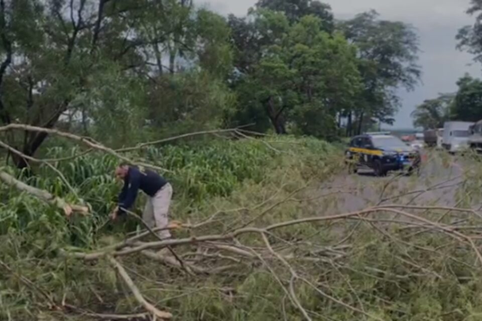 prf-operacao