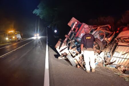 Caminhão com mudança capota na BR-153 em Jaraguá com idoso, mulher, criança e animais
