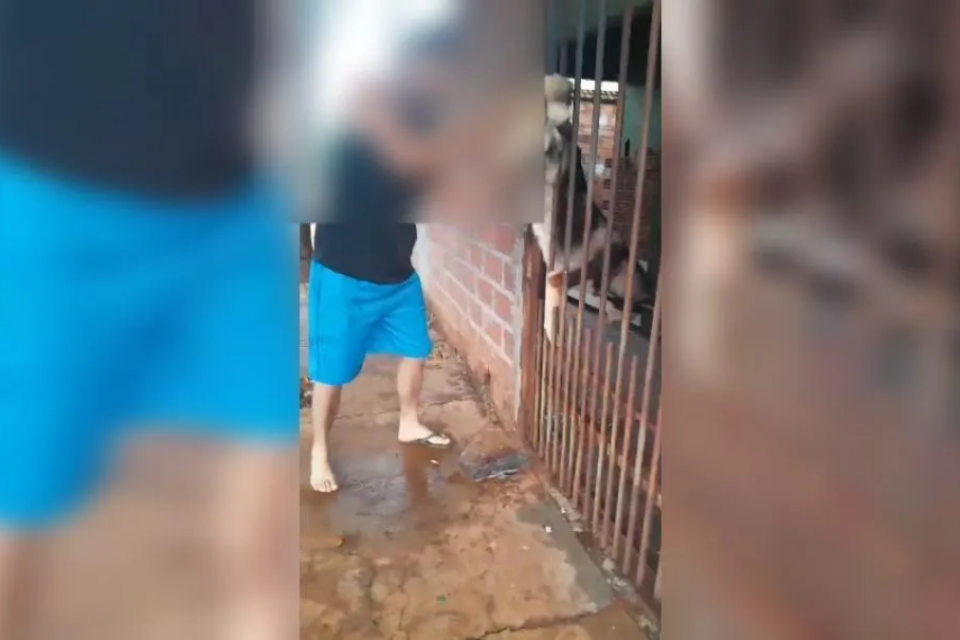 Homem é preso suspeito de dar chineladas em cachorro, em Mineiros (Foto: Divulgação/Polícia Civil)